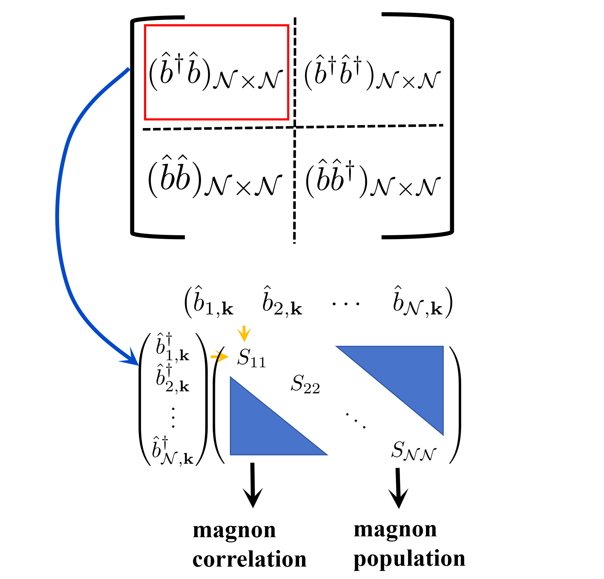 课题组叶茜茵发现磁子“量子关联”实现磁子自旋流的高效输运